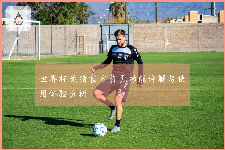 世界杯竞猜官方首页功能详解与使用体验分析