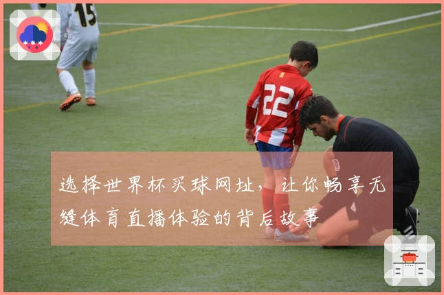 选择世界杯买球网址，让你畅享无缝体育直播体验的背后故事