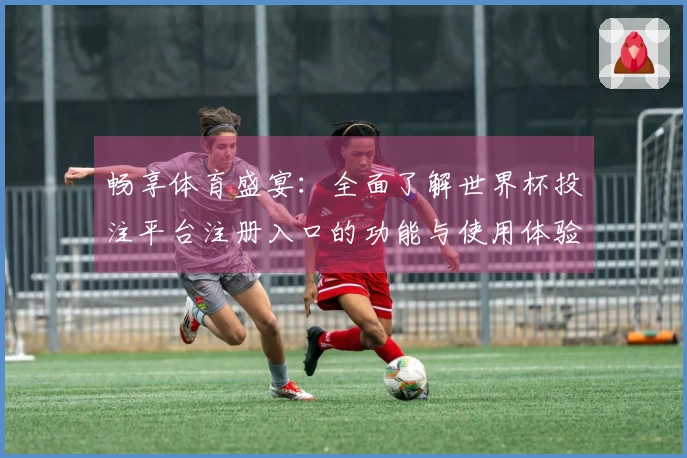 畅享体育盛宴：全面了解世界杯投注平台注册入口的功能与使用体验